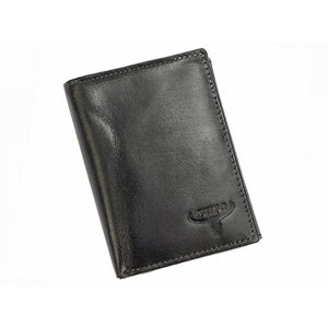 Trendová pánská kožená peněženka Filan, černá